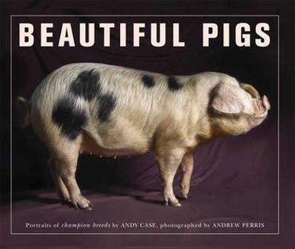 Paperback Beautiful Pigs: Potraits of Fine Breeds Book