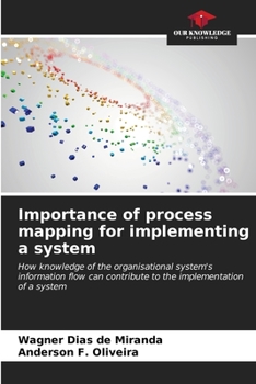 Importance of process mapping for implementing a system