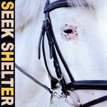 Vinyl Seek Shelter (LP) Book