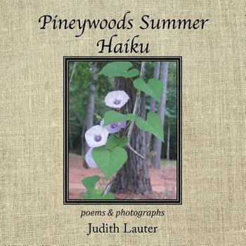 Paperback Pineywoods Summer Haiku: Poems and Photographs Book