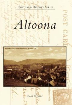 Paperback Altoona Book