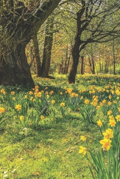 Paperback 2020 Planner: Daffodils & Aquamarine: March Book