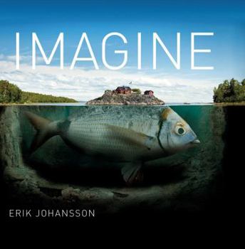 Hardcover Imagine Book