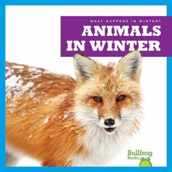 Paperback Animals in Winter Book