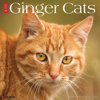 2026 Ginger Cats 12 x 12 Wall