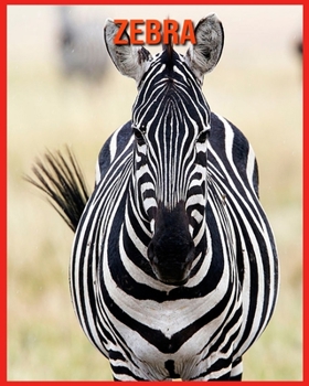 Zebra: Lustige Fakten & coole Bilder