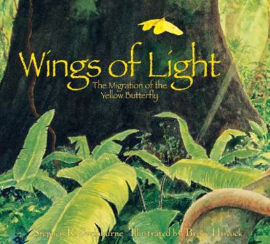 Hardcover Wings of Light Book