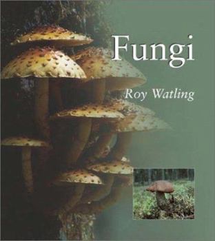 Paperback Fungi Book