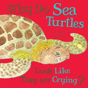 Paperback Why Do Sea Turtles Look Like They Are Crying? Book