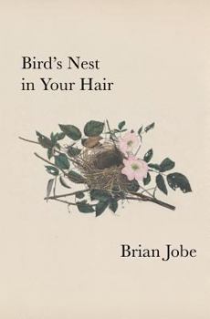 Paperback Birds Nest In Your Hair Book