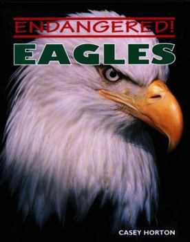 Hardcover Eagles Book