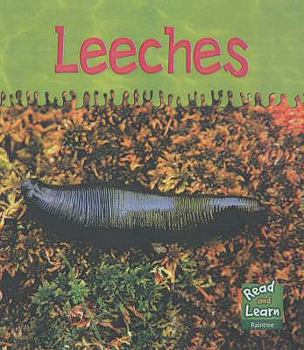 Paperback Read and Learn: Ooey-Gooey Animals - Leeches (Read & Learn) (Read & Learn) Book
