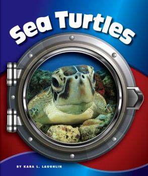 Library Binding Sea Turtles Book