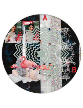 Hardcover Tavares Strachan: In Total Darkness Book