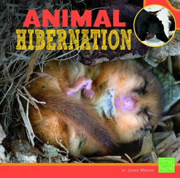 Paperback Animal Hibernation Book