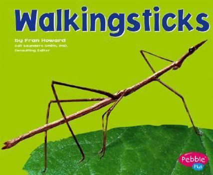 Walkingsticks - Book  of the Bugs, Bugs, Bugs!