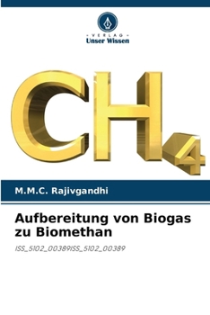 Paperback Aufbereitung von Biogas zu Biomethan [German] Book
