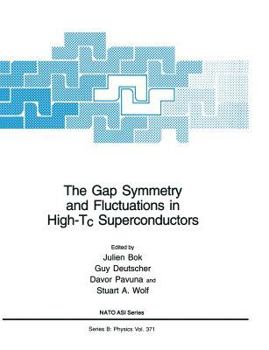 Paperback The Gap Symmetry and Fluctuations in High-Tc Superconductors Book