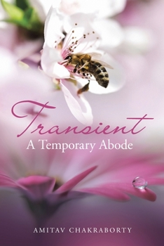Paperback Transient - a Temporary Abode Book