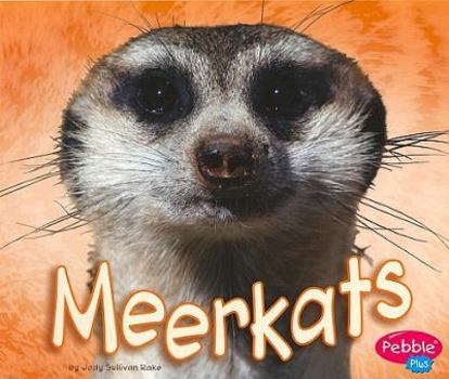 Paperback Meerkats Book