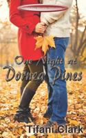 One Night at Dornea Pines 0692529004 Book Cover