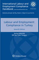 Labour and Employment Compliance in Turkey 9403539011 Book Cover