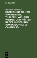 Über einige Namen von Bergen, Thälern, Weilern, Weiden und Hütten in der Umgebung von Madonna di Campiglio 3112463056 Book Cover