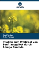 Studien zum Weißrost von Senf, ausgelöst durch Albugo Candida 6206249573 Book Cover