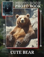 Cute Bear Photo Book: Adorable Collection Of 40 Charming Images Featuring Bears For All Ages B0DPXH2BWN Book Cover