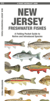 New Jersey Freshwater Fishes: A Waterproof Folding Guide to Native and Introduced Species (A Pocket Naturalist Guide) 162005762X Book Cover