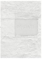Dado: Built and Inhabited by Rudolf Olgiati and Valerio Olgiati 3034604300 Book Cover