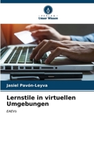 Lernstile in virtuellen Umgebungen 6206855155 Book Cover