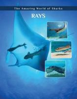 Rays 1422241297 Book Cover
