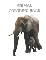 Animal Coloring Book: Actvity Coloring Pages for Kids B08L6SHN2Z Book Cover