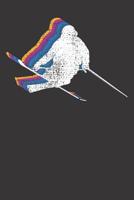 Notebook: College Ruled 6x9 120 Pages Freestyle Ski Halfpipe Gift Skier Cool 1082246727 Book Cover