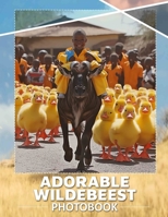 Adorable Wildebeest Photo Book: Explore 40 Charming Images Of Wild Antelope Species For Animal Lovers And Enthusiasts B0DPXKGXK1 Book Cover