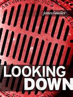 Looking Down: Photographs From the Sidewalks of Hyde Park, Boston 0983737649 Book Cover