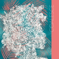 Coalesce 0359715036 Book Cover