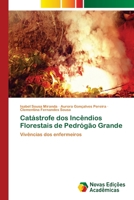 Catástrofe dos Incêndios Florestais de Pedrógão Grande 6202806540 Book Cover