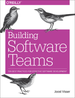 Building Software Teams: Ten Best Practices for Effective Software Development 149195177X Book Cover