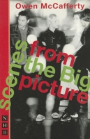 Scenes from the Big Picture 1854597299 Book Cover