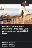 Ottimizzazione della struttura idraulica: Una revisione dei concetti di base 620555402X Book Cover