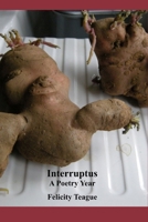 Interruptus: A Poetry Year B0FF39565P Book Cover