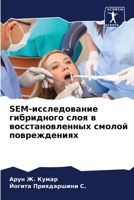 SEM-исследование гибридноk 6207435060 Book Cover