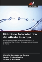 Riduzione fotocatalitica del nitrato in acqua (Italian Edition) 6207947134 Book Cover