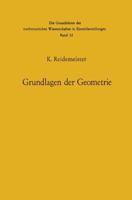 Vorlesungen Uber Grundlagen Der Geometrie 3662390973 Book Cover