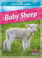 Baby Sheep 1645197093 Book Cover