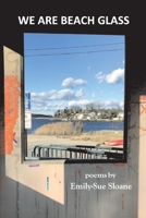 We Are Beach Glass 1667808753 Book Cover