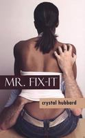 Mr. Fix-It (Indigo Love Spectrum) 1585713260 Book Cover