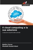 Il cloud computing e la sua adozione (Italian Edition) 6209999352 Book Cover